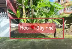 Bán đất nở hậu, mặt tiền 5m tại Dược Hạ, Tiên Dược, Sóc Sơn, Hà Nội... Bán đất tại Sóc Sơn, Hà Nội 05