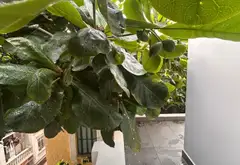 Nhà riêng lô góc mặt phố Hai Bà Trưng, diện tích 37m2, 4 tầng thiết kế hiện đại... Bán nhà riêng tại Lê Chân, Hải Phòng 11