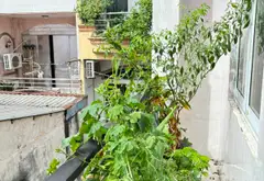 Nhà mặt phố kết cấu xịn, mặt tiền đắt giá giảm sốc... Bán nhà mặt phố tại Chợ Quán, Hồ Chí Minh 04