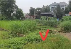 Đất đẹp ngõ ô tô tránh, sổ đỏ vuông vắn, giá tốt... Bán đất tại Kim Anh, Hà Nội 02