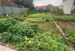 Cơ Hội Sở Hữu Lô Đất Đẹp Ngay Trung Tâm Thắng Trí - Minh Trí... Bán đất tại Kim Anh, Hà Nội 08