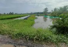 Trương Văn Đa,Đường Đá Xanh Xe Ba Gác Tới Đất
BÁN 1 CÔNG ĐẤT LUK GIÁ 3 TỶ... Bán đất tại Bình Lợi, Hồ Chí Minh 04