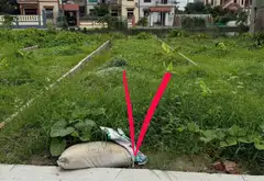 Mảnh đất vàng cho nhà đầu tư tại Ninh Xá, Bắc Ninh... Bán đất tại Ninh Xá, Bắc Ninh 07