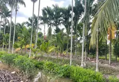 Bán đất 1000m2 gần khu công nghiệp Lê Minh Xuân, giá 3.99 tỷ... Bán owner_side tại Bình Lợi, Hồ Chí Minh 06