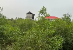Đất 2 mặt tiền rộng rãi tại Bộ Đội An Điền, Bình Chánh... Bán đất tại Vĩnh Lộc, Hồ Chí Minh 02