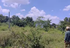 Đất Vàng Cây Bàng – Không Gian Sống Lý Tưởng, Đầu Tư Tương Lai... Bán đất tại Tân Nhựt, Hồ Chí Minh 06
