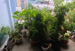 Nhà đẹp hẻm xe hơi trung tâm Quận Phú Nhuận... Bán nhà riêng tại Phú Nhuận, Hồ Chí Minh 15