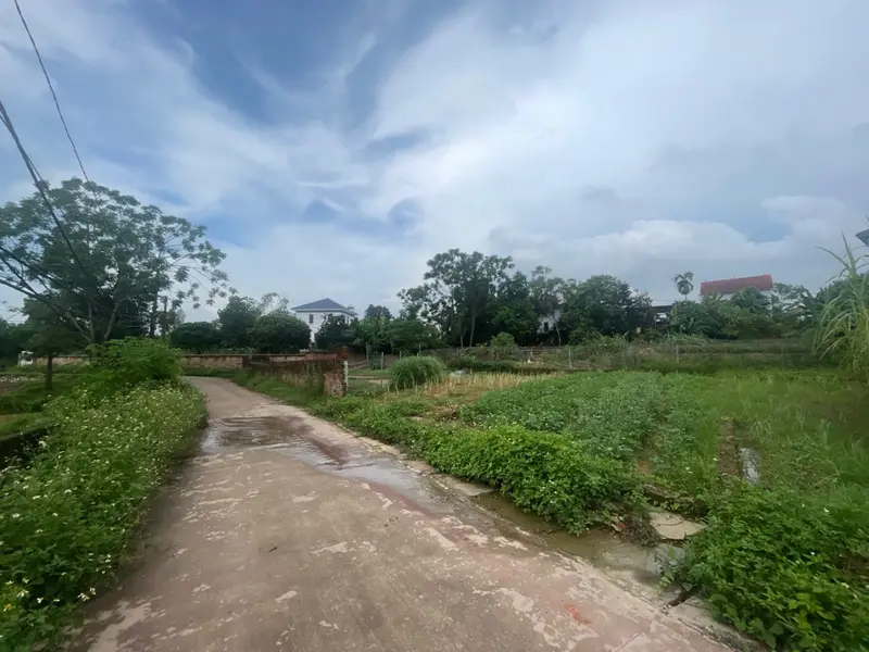 Đất Thổ Cư Đẹp Tại Bắc Sơn Sóc Sơn - Đầu Tư Sinh Lời... Bán đất tại Trung Giã, Hà Nội 01