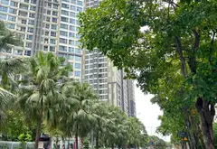 Bán căn hộ chung cư Vinhomes tại Bình Thạnh, 81.5 m2, view thành phố đang cho thuê 23tr... Bán căn hộ chung cư tại Thạnh Mỹ Tây, Hồ Chí Minh 01