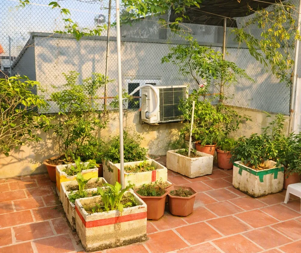 🔥 NHÀ ĐẸP 3 TẦNG PHÚC THỊNH – CHỦ HẠ SỐC – CƠ HỘI TÍCH SẢN HIẾM TRONG TẦM TIỀN DT 60M ❌... Bán nhà riêng tại Phúc Thịnh, Hà Nội 01