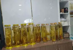 Bán tòa nhà văn phòng mặt tiền phường An Hội Tây, quận Gò Vấp, view sông, diện tích 195m2... Bán văn phòng tại An Hội Tây, Hồ Chí Minh 04