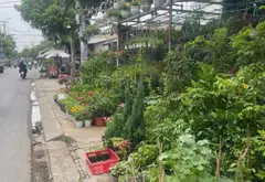 Giảm ngay 1 tỷ - Đất mặt tiền ngay Bệnh viện Bình Tân, cơ hội đầu tư vàng... Bán đất tại Bình Trị Đông, Hồ Chí Minh 02