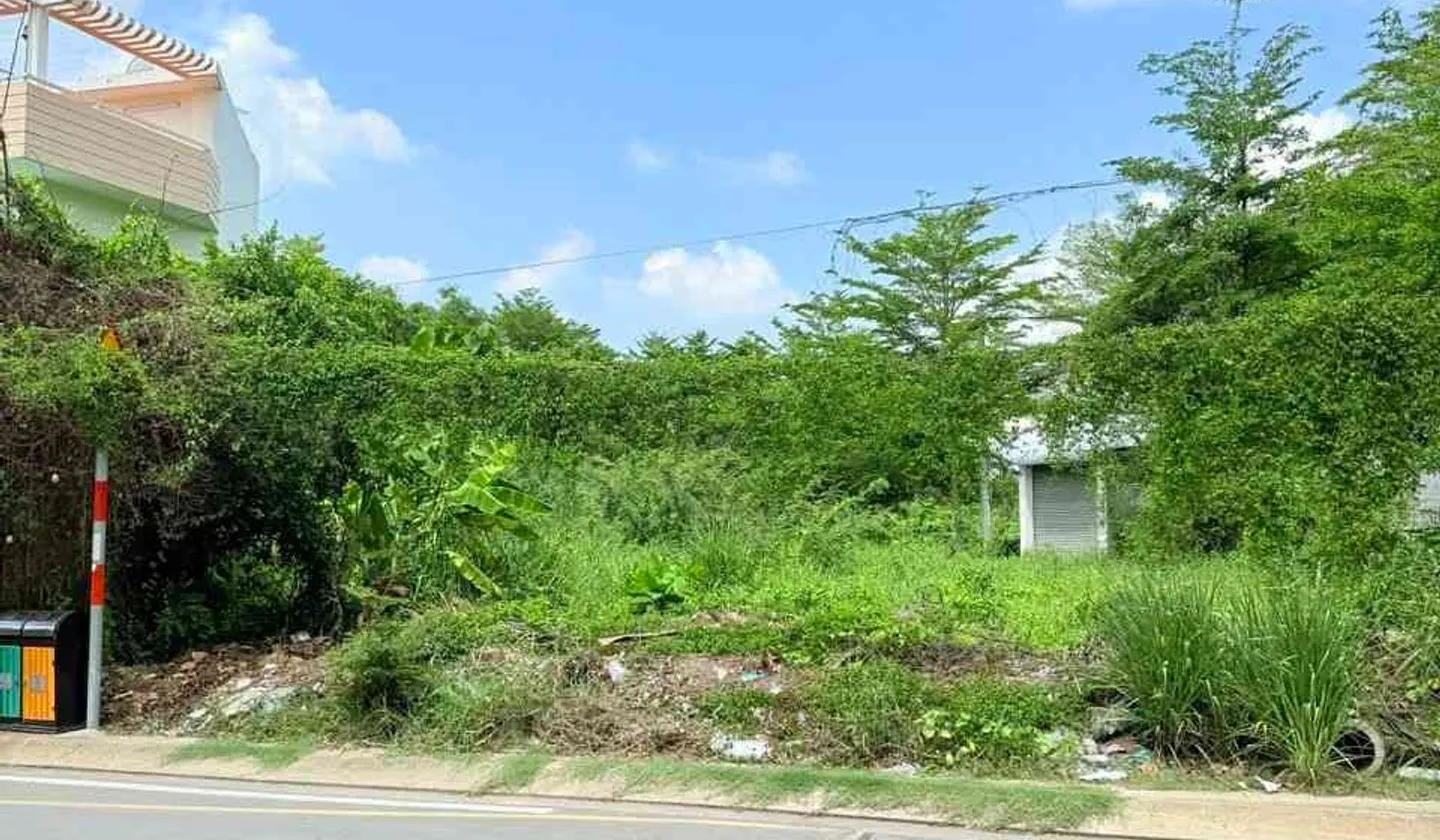 Bán đất mặt tiền đường Đào Sư Tích, xã Phước Lộc, Nhà Bè, diện tích 134.8 m2... Bán đất tại Nhà Bè, Hồ Chí Minh 01