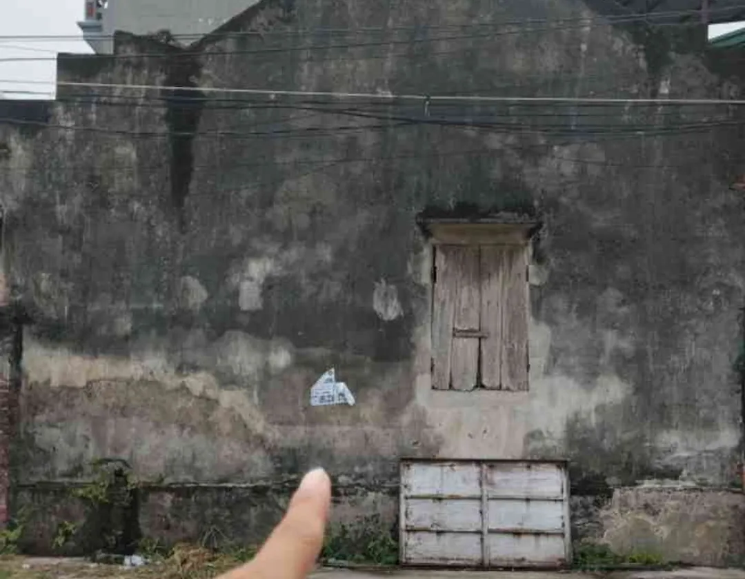 Cơ Hội Vàng Đầu Tư Đất Nền Ngay Gần Công Viên, Giá Chỉ 9 Tỷ... Bán đất tại Thư Lâm, Hà Nội 01