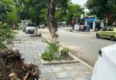 Bán đất rộng 193,3m2 phường Đông Hòa, TP HCM, giá nhỉnh 6t... Bán đất tại Đông Hòa, Hồ Chí Minh 03