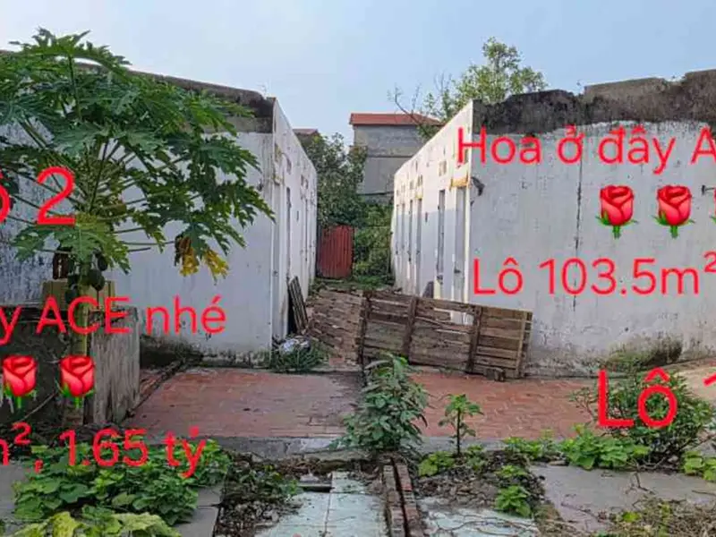Bán đất 105m2 hướng Bắc thôn Bất Lự, Tiên Du Bắc Ninh... Bán đất tại Đại Đồng, Bắc Ninh 01