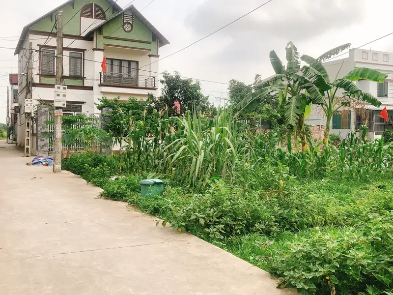 🔆Bán đất Bắc Thượng - Nội Bài 67m2 di chuyển sân bay khu CN Nội Bài thuận tiện... Bán đất tại Nội Bài, Hà Nội 01