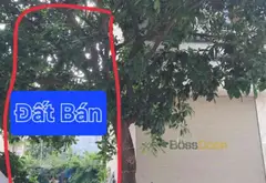 Bán đất phân lô diện tích 49.8m2 tại Yên Nghĩa giá 11.7 tỷ... Bán đất tại Yên Nghĩa, Hà Nội 01