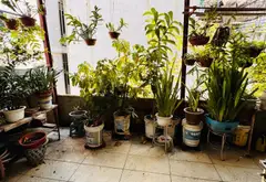 Bán nhà riêng trung tâm quận Đống Đa, gần Ngã Tư Vọng, 46m², 3 phòng ngủ... Bán nhà riêng tại Phương Liệt, Hà Nội 06