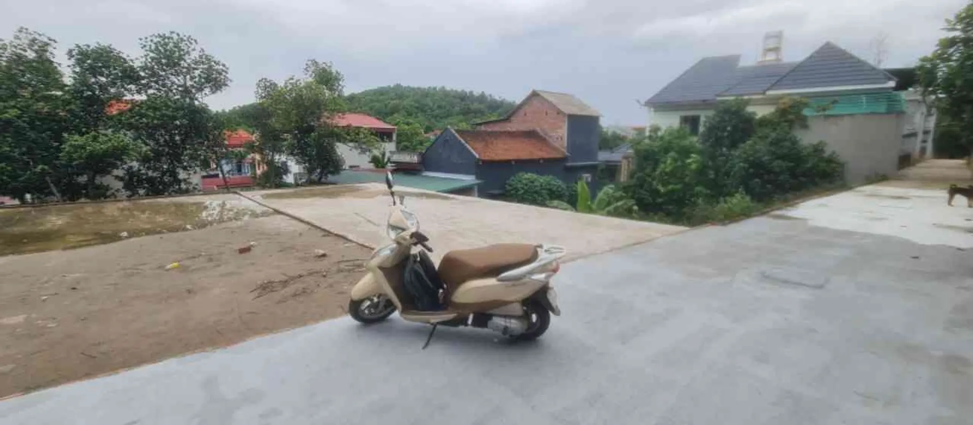 Bán đất thổ cư diện tích 76.5m² tại Thôn Cổ Miếu, Phật Tích, Bắc Ninh... Bán đất tại Phật Tích, Bắc Ninh 01