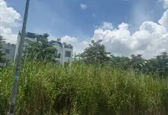 Đất Nguyễn Bình giá hời, mặt tiền rộng, tiện xây dựng... Bán đất tại Hiệp Phước, Hồ Chí Minh 03