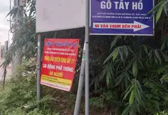 Quỹ đất khủng mặt tiền đường Hòa Phú, Củ Chi – Cơ hội đầu tư siêu hấp dẫn... Bán đất tại Bình Mỹ, Hồ Chí Minh 08