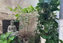 Nhà 5 tầng mặt tiền rộng ở Phường Tương Mai - tiện nghi vượt trội... Bán nhà riêng tại Tương Mai, Hà Nội 11