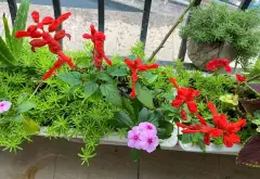 Căn hộ 3 phòng ngủ rộng rãi, view Tây Nam, giá hấp dẫn tại Thanh Xuân... Bán căn hộ chung cư tại Thanh Xuân, Hà Nội 08