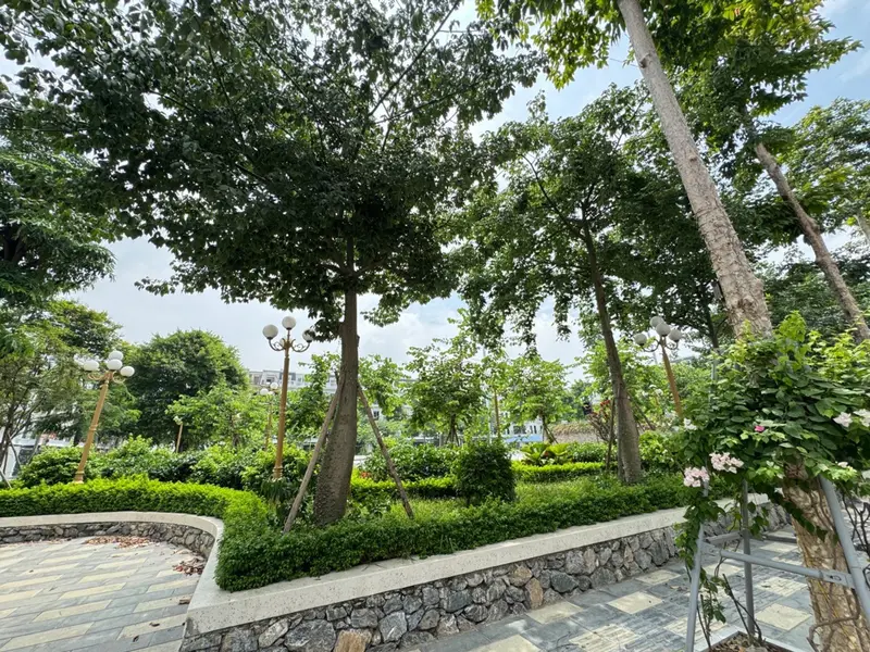Bán biệt thự liền kề 5 tầng tại xã Hoài Đức, Hà Nội, diện tích 80m² sát vành đai 4 - QL32... Bán biệt thự, liền kề tại Hoài Đức, Hà Nội 01