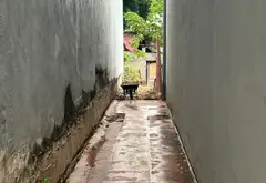 Tìm chủ mới cho bất động sản tiềm năng... Bán đất tại Võ Cường, Bắc Ninh 08