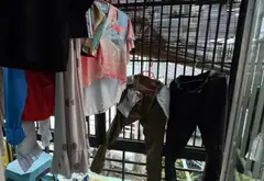Nhà nhỏ xinh gần CV Thỏ Trắng, giá cực hấp dẫn giảm còn 4.7 tỷ... Bán nhà riêng tại Hòa Hưng, Hồ Chí Minh 07
