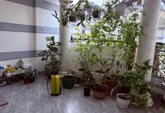 🔥 NHÀ 5 TẦNG NGAY BX Q8 – 4PN + PHÒNG THỜ – HẺM XE HƠI – CHỈ 10,7 TỶ... Bán nhà riêng tại Bình Đông, Hồ Chí Minh 14