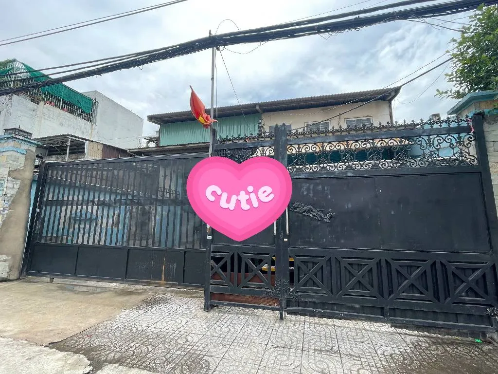 NHÀ XƯỞNG KHỦNG MẶT TIỀN PHAN VĂN ĐỐI SÁT KCN VĨNH LỘC, BÌNH TÂN - TỔNG GẦN 1800M2 ĐÃ LÊN THỔ - CHO... Bán nhà mặt phố tại Bà Điểm, Hồ Chí Minh 01