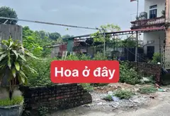 Cơ Hội Vàng Sở Hữu Đất Vị Trí Vàng Gần Sân Bay Nội Bài, Sóc Sơn... Bán đất tại Nội Bài, Hà Nội 01