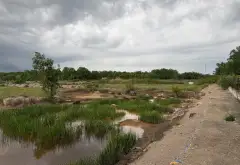 Bán đất 17.436m2 gần phà Bình Khánh, Cần Giờ giá 139 tỷ... Bán đất tại Bình Chánh, Hồ Chí Minh 15
