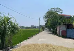 Bán đất thổ cư 58.5m2 tại Mai Lâm, Đông Anh, mặt tiền 4.5m... Bán đất tại Đông Anh, Hà Nội 05