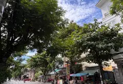 Bán nhà mặt phố mặt tiền rộng tại trung tâm Đà Nẵng, vị trí thuận lợi kinh doanh... Bán nhà mặt phố tại An Hải, Đà Nẵng 04