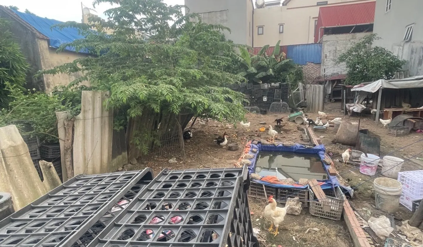 Cơ Hội Sở Hữu Đất Vàng Thôn Yên Ninh – Giá Tốt, Vị Trí Đẹp, Sẵn Sổ Đỏ... Bán đất tại Nội Bài, Hà Nội 01