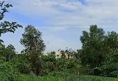 Đất Vuông Vức Gần Mặt Tiền Nguyễn Thị Tú - Cơ Hội Đầu Tư Đỉnh... Bán owner_side tại Bình Tân, Hồ Chí Minh 09