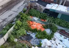CC CẦN BÁ.N GẤ.P 2 Mản.h ĐẤT VÀN.G ĐƯỜNG TUYỂN THAN Quảng Ninh... Bán đất tại Hạ Long, Quảng Ninh 02