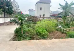 Đất đẹp tiềm năng tại xã Nội Bài, giá hấp dẫn... Bán đất tại Nội Bài, Hà Nội 02