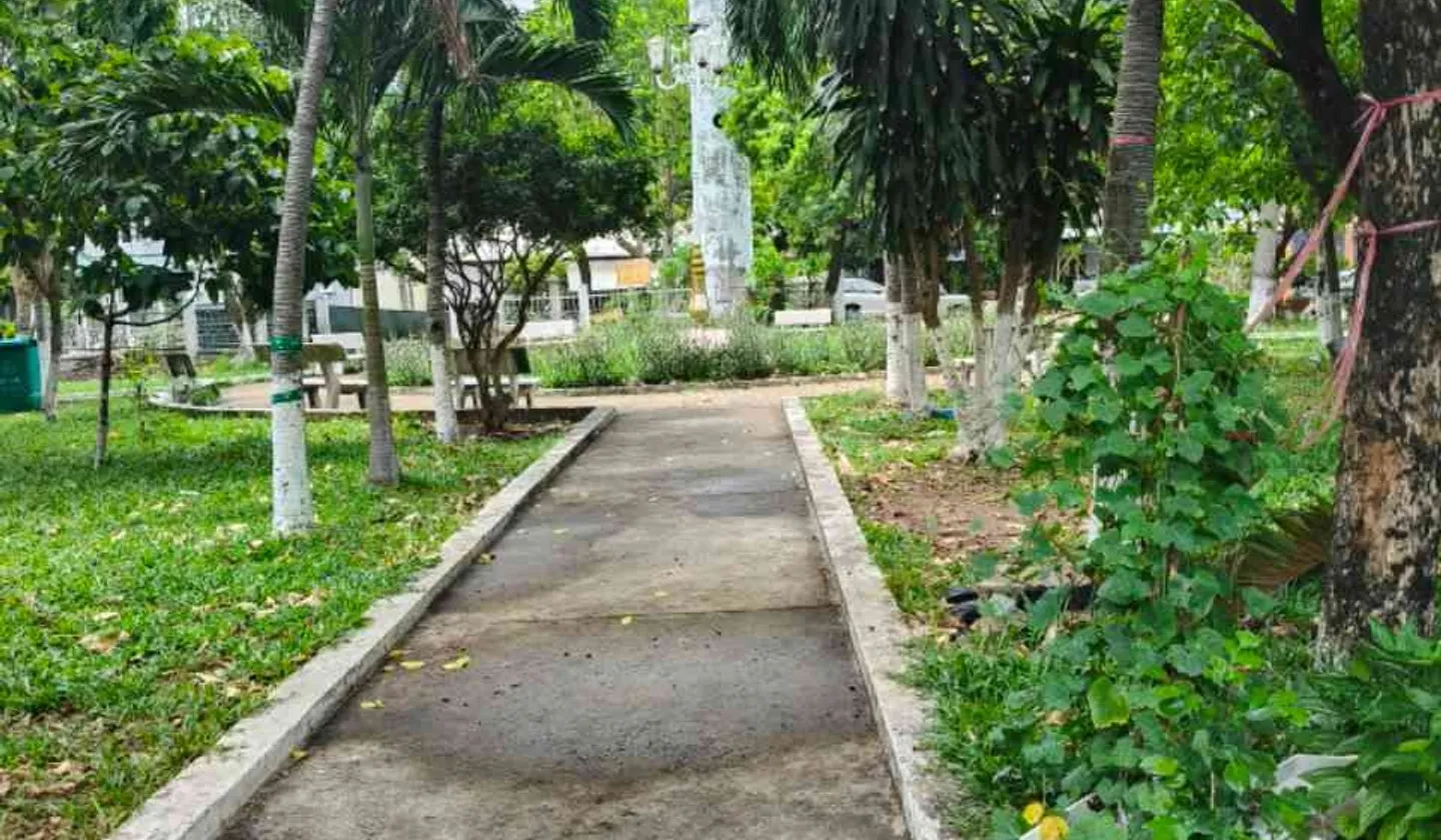 Nhà mặt phố 97.5m2, 6.5m mặt tiền, đối diện công viên tại Quận 12... Bán nhà mặt phố tại Tân Thới Hiệp, Hồ Chí Minh 01