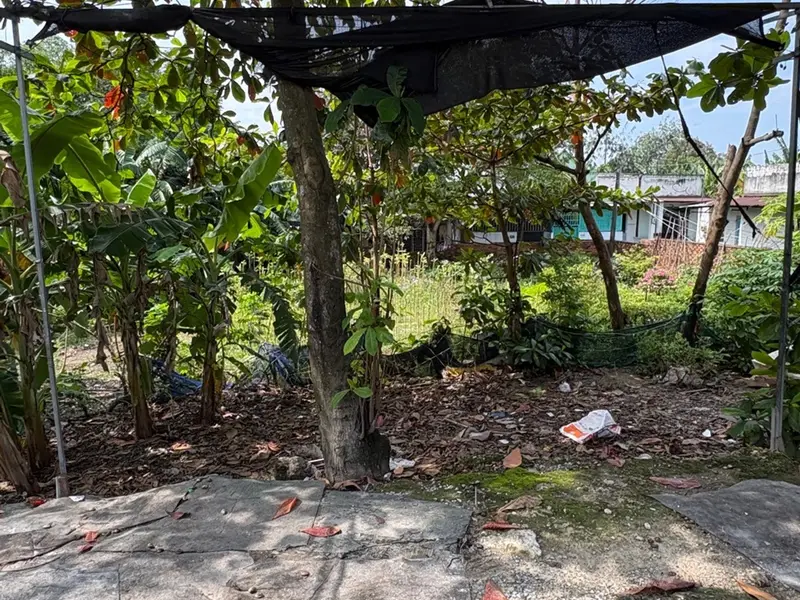 Đất 200m2 2 mặt tiền ở Long Bình giá cực hấp dẫn... Bán đất tại Long Bình, Hồ Chí Minh 01