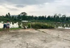 71,9m² Võ Cường, giá 3,65 tỷ đồng
Alo Mr Chinh 0977.497.215... Bán đất tại Võ Cường, Bắc Ninh 05