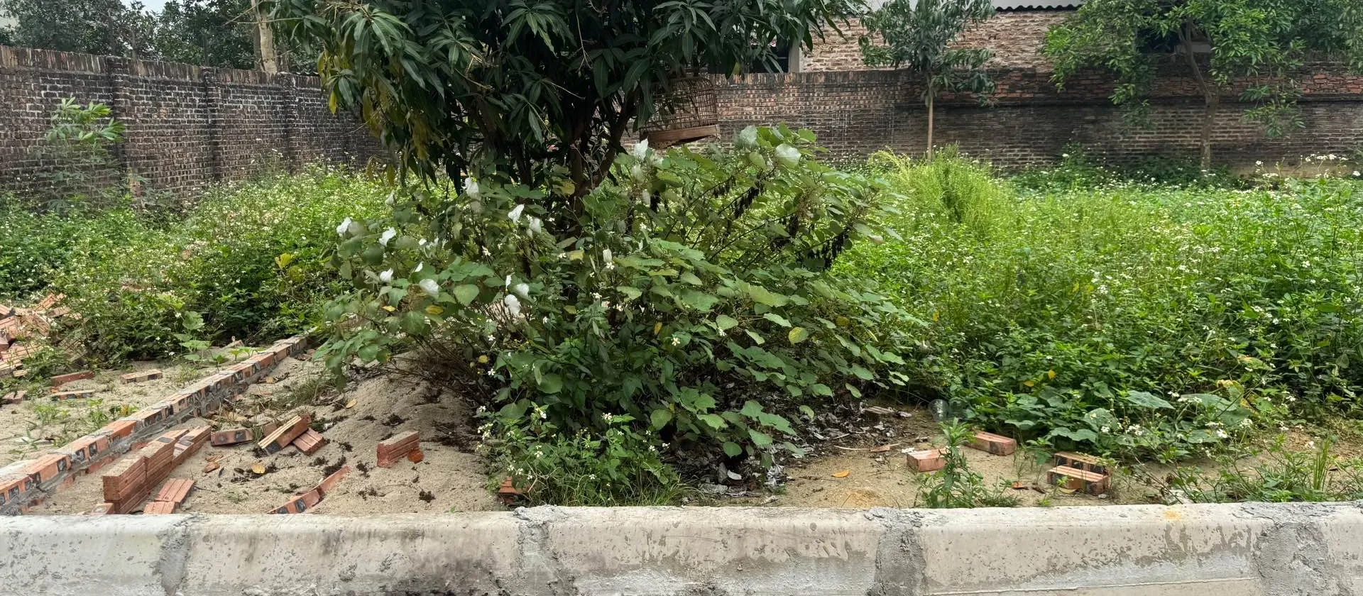 Đất thổ cư đẹp, giá tốt, vị trí đắc địa tại trung tâm đô thị... Bán đất tại Đa Phúc, Hà Nội 01