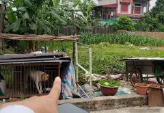 Siêu phẩm đất kinh doanh mặt tiền trục chính Quang Tiến... Bán đất tại Sóc Sơn, Hà Nội 01