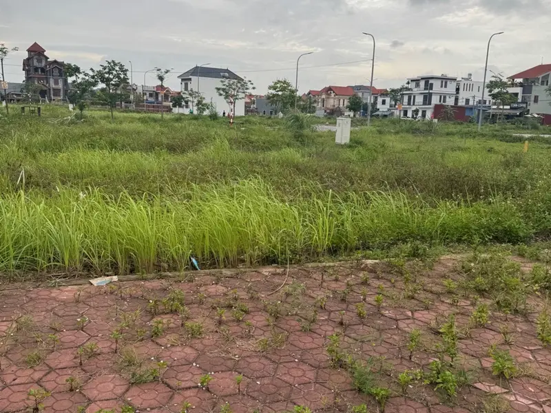 Đất nền TĐC Khu B Bắc Sông Cấm, cơ hội đầu tư sinh lời tại Hải Phòng... Bán đất tại Thủy Nguyên, Hải Phòng 01