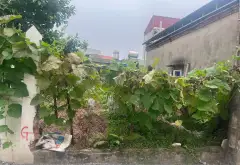 Đất nằm ở mặt ngõ , gần khu dự án 3,15 tỷ... Bán đất tại Yên Mỹ, Hưng Yên 01
