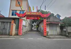 Cơ hội sở hữu lô đất mặt tiền rộng ô tô vào tận nơi tại Ngọc Động Bát Tràng với giá cực tốt... Bán đất tại Bát Tràng, Hà Nội 03