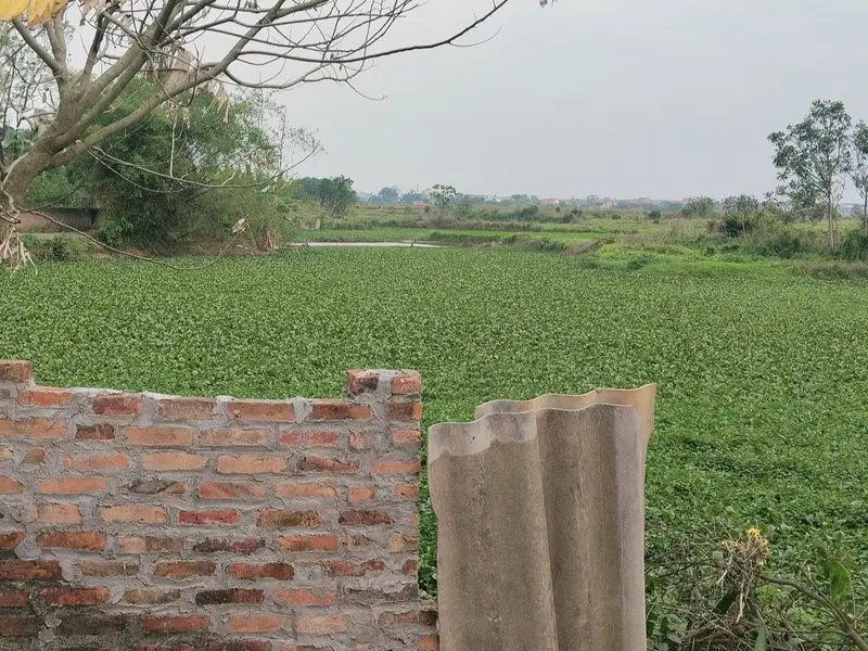 Bán đất Sơn Đoài Tân Minh - Đầu tư hấp dẫn, vị trí và pháp lý rõ ràng... Bán đất tại Sóc Sơn, Hà Nội 01